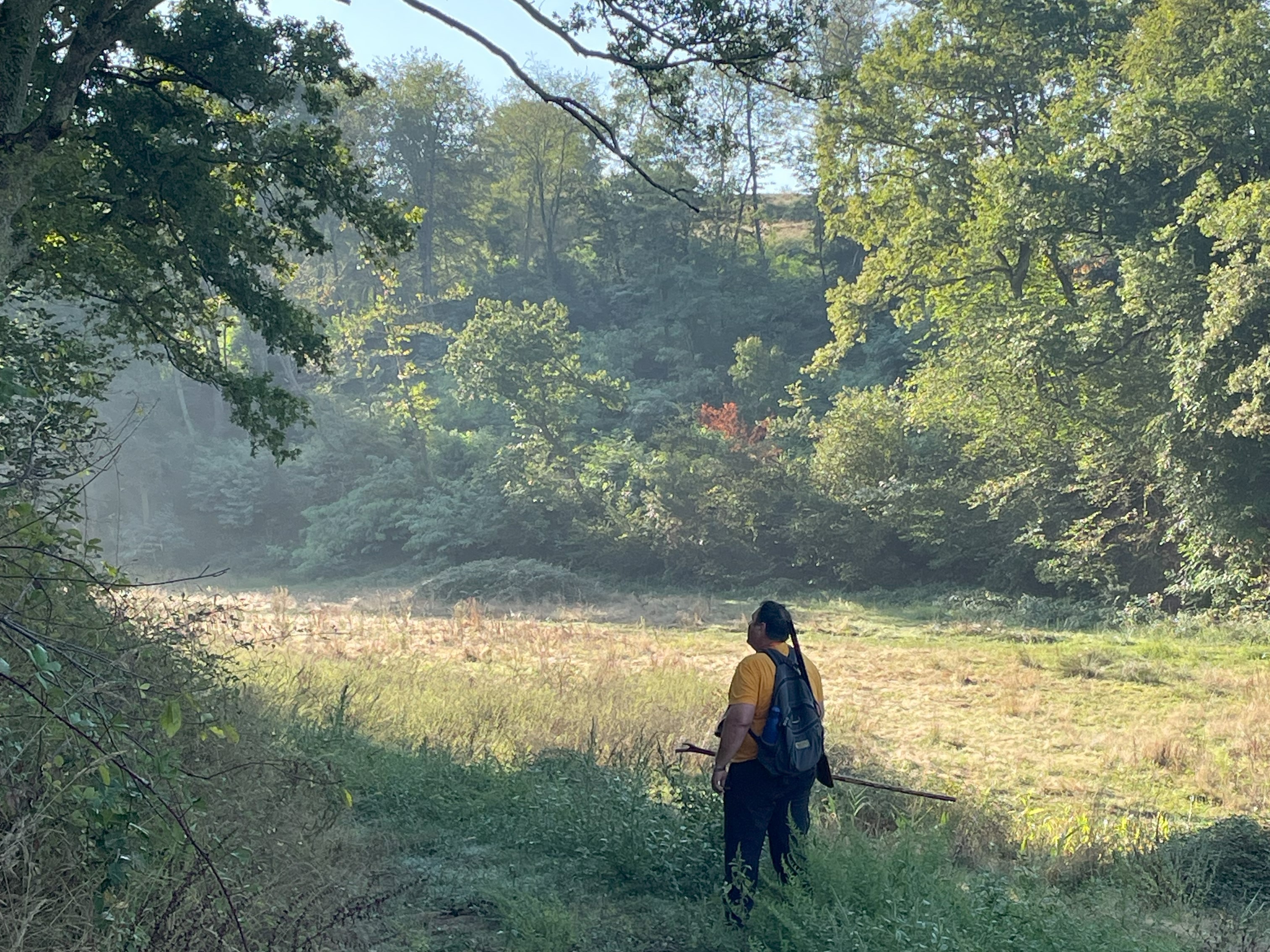 Chasseur avec son chien dans une clairière verdoyante des Hautes-Pyrénées