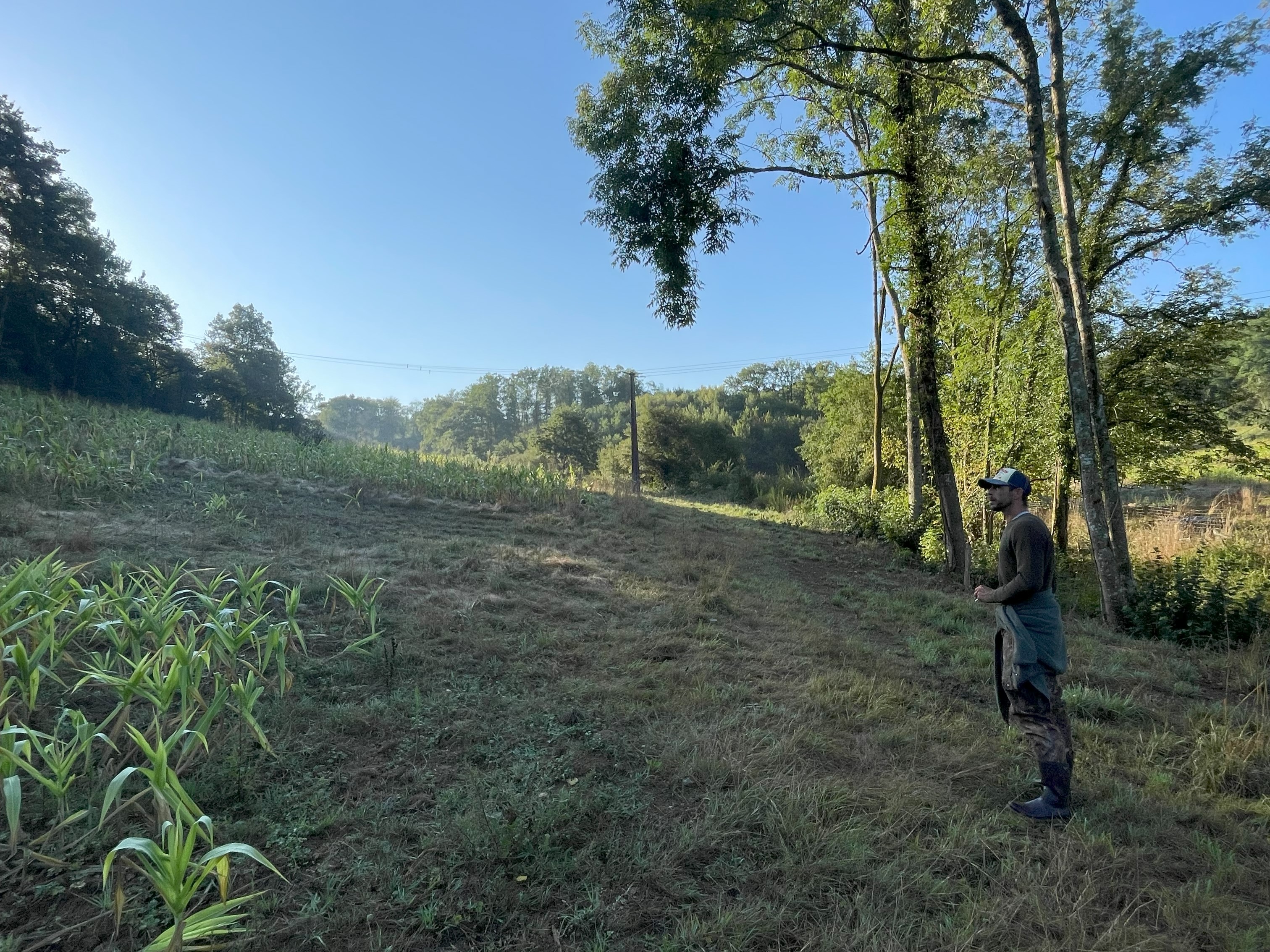 Week-end Chasse