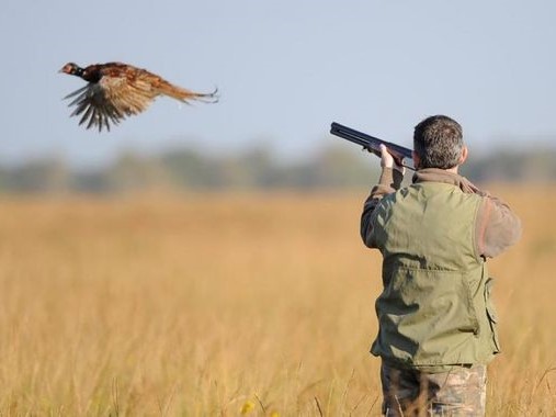 Action de chasse annuelle